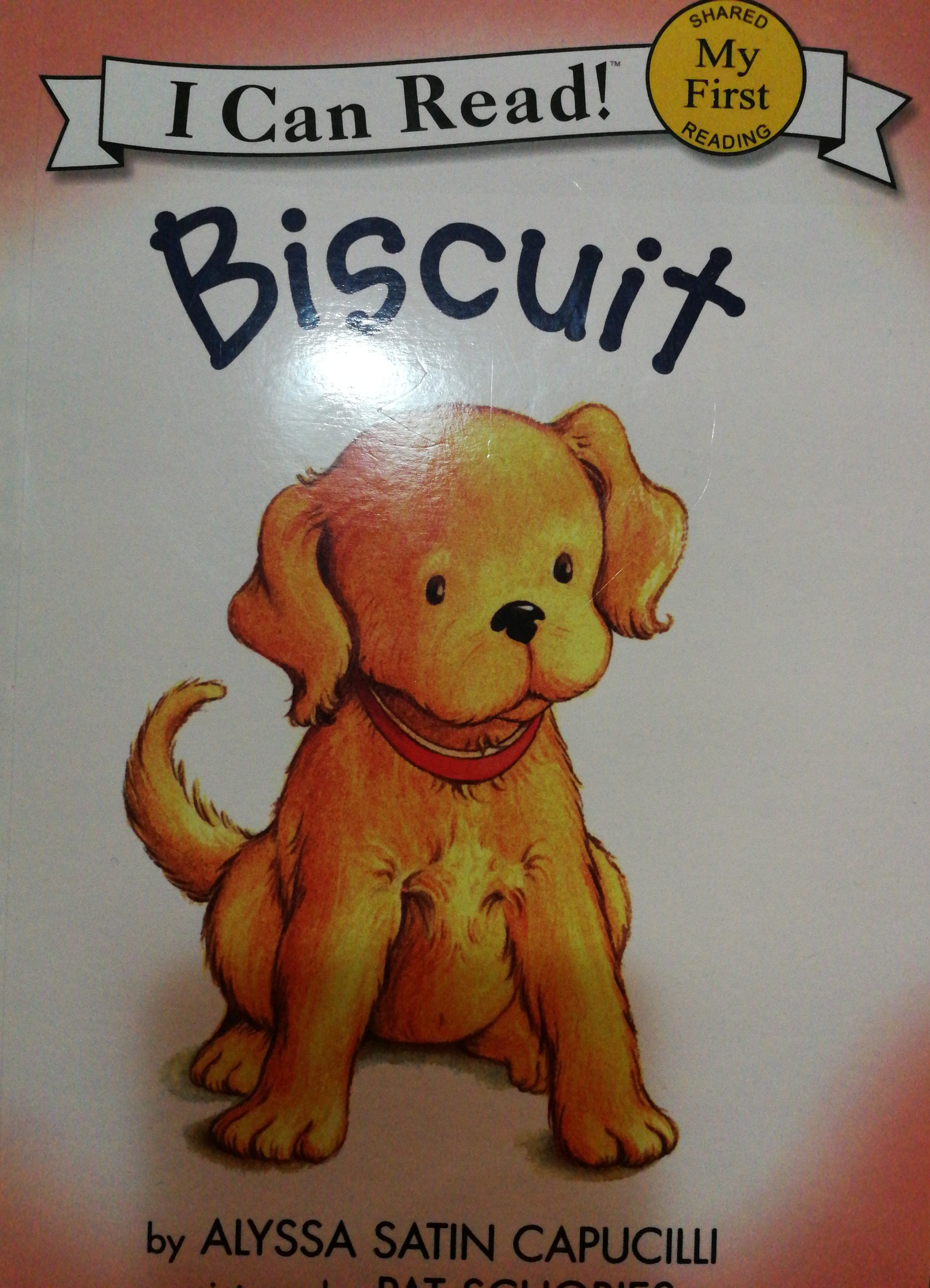 I  can read biscuit