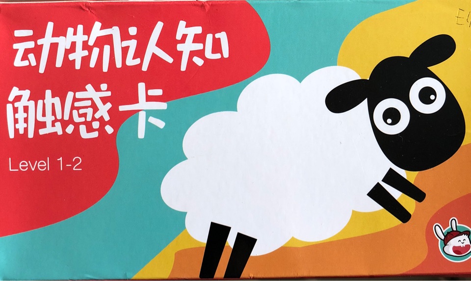 动物认知触感卡