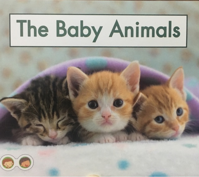 The Baby Animals