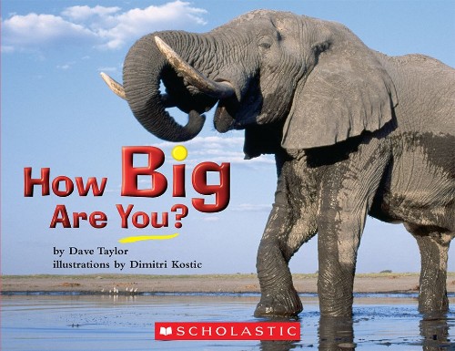 How Big Are You?