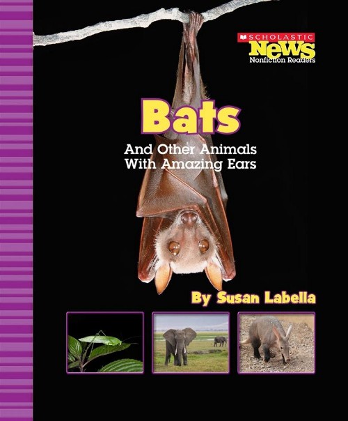 Bats and Other Animals with Amazing Ears