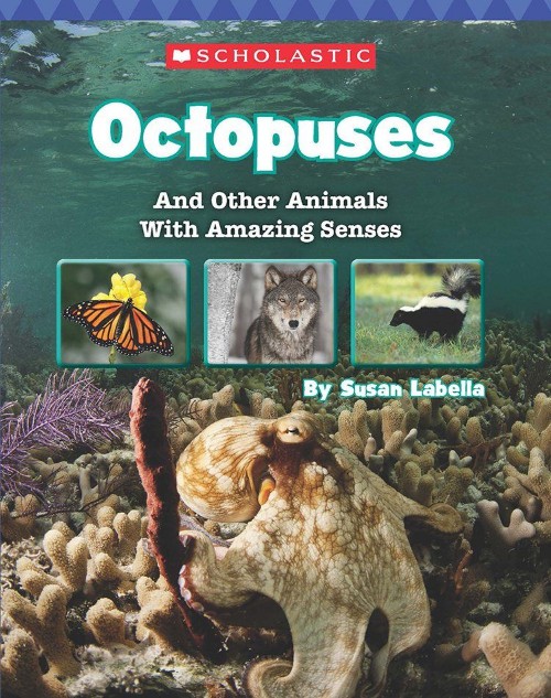 Octopuses and Other Animals with Amazing Senses