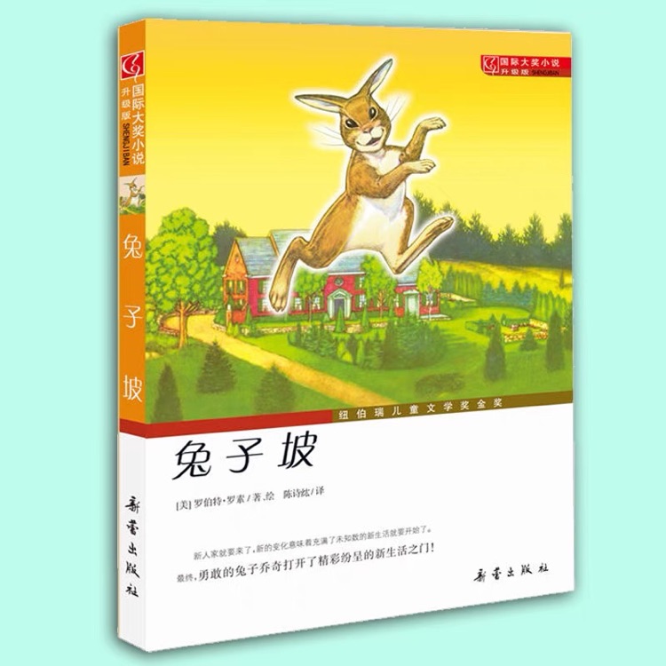 國(guó)際大獎(jiǎng)小說·升級(jí)版: 兔子坡