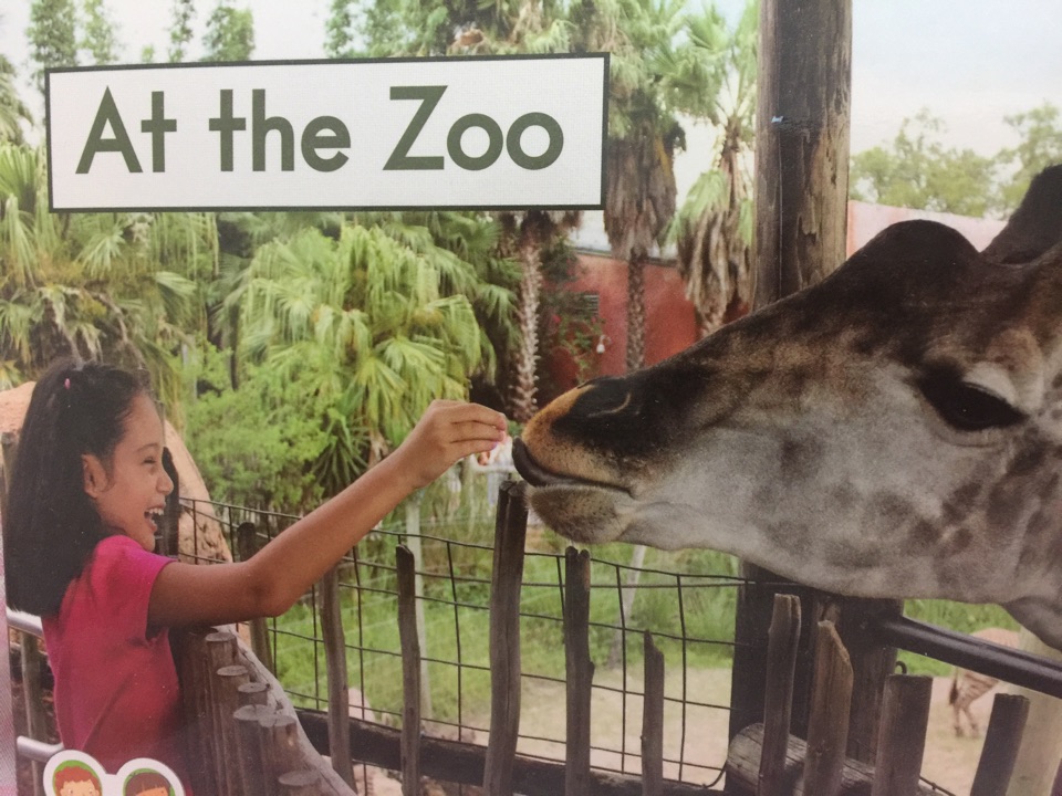 At the zoo