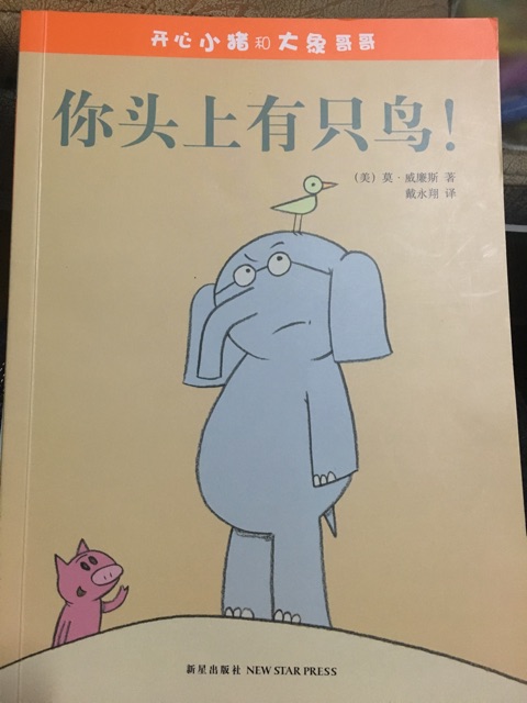 開心小豬和大象哥哥：你頭上有只鳥!