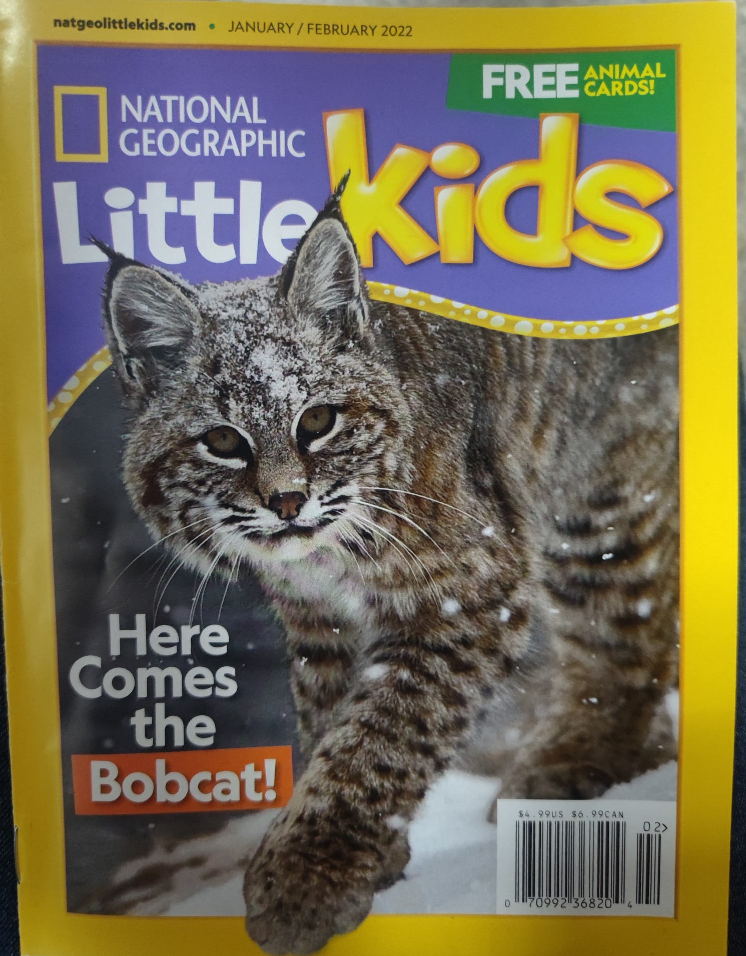 National Geographic Little Kids, Here comes the bobcat, January / February 2020