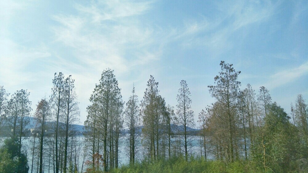 来来来，一起晒晒