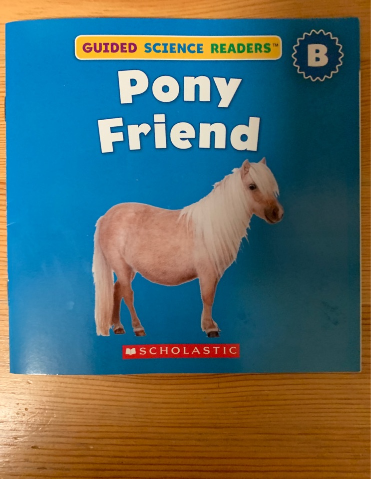 Pony friend