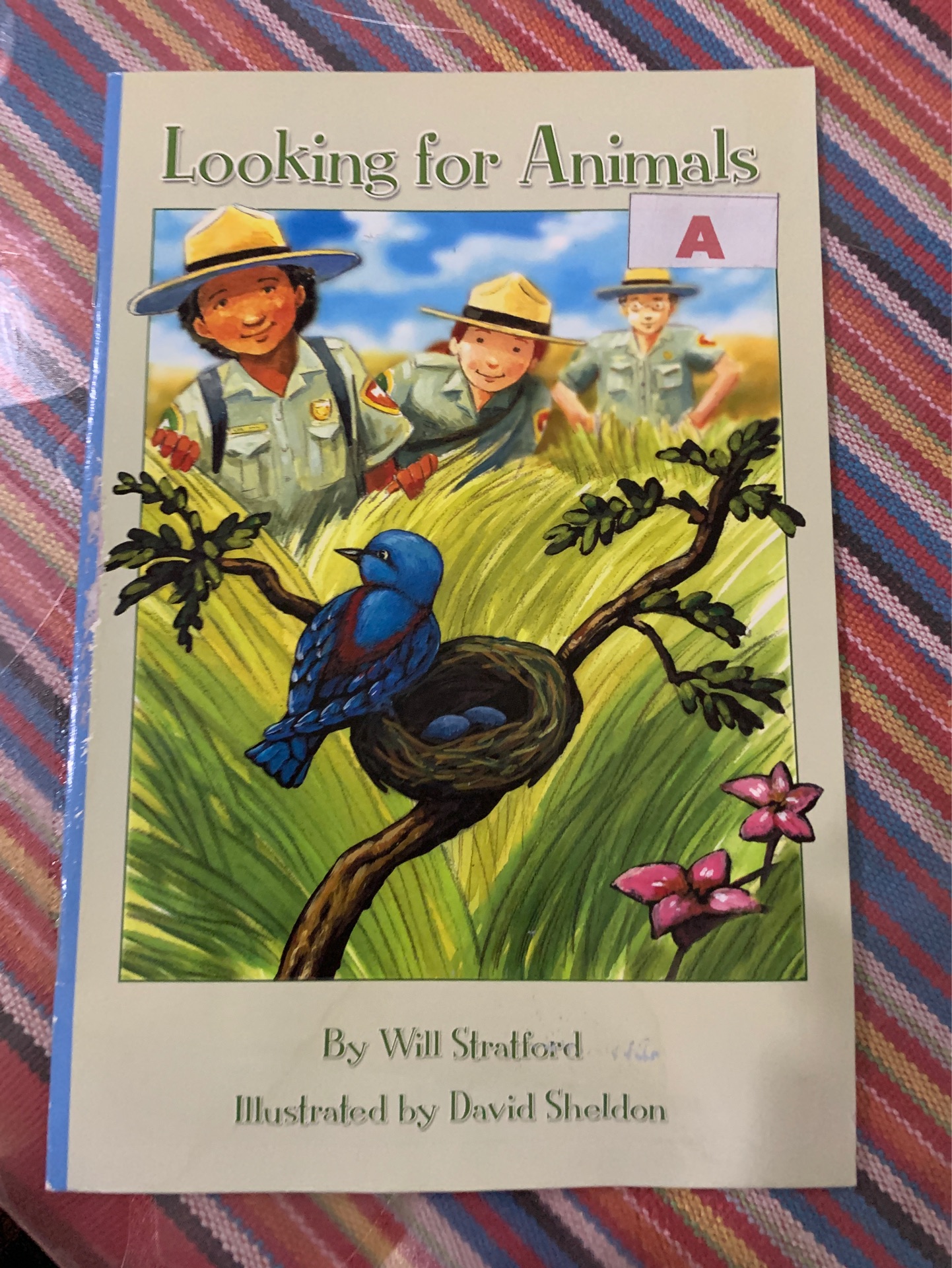 Looking for Animals