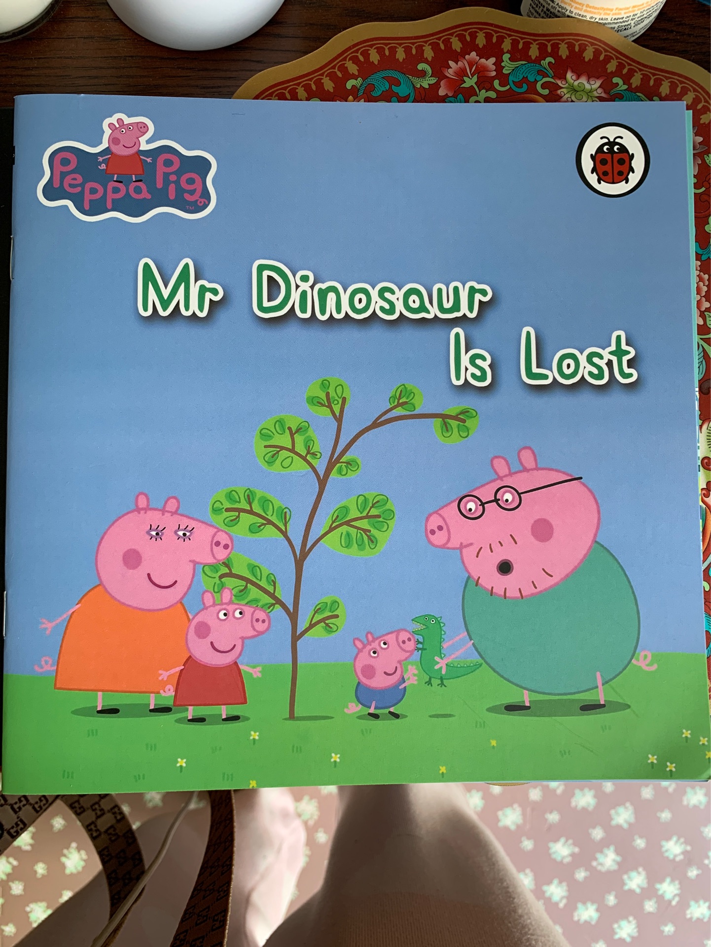 Mr Dinosaur is Lost