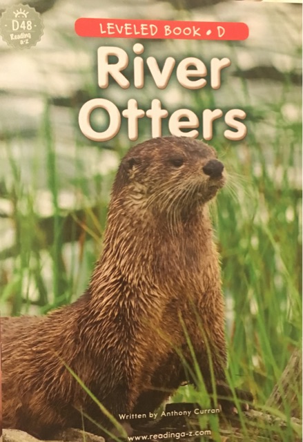 Raz D River otter