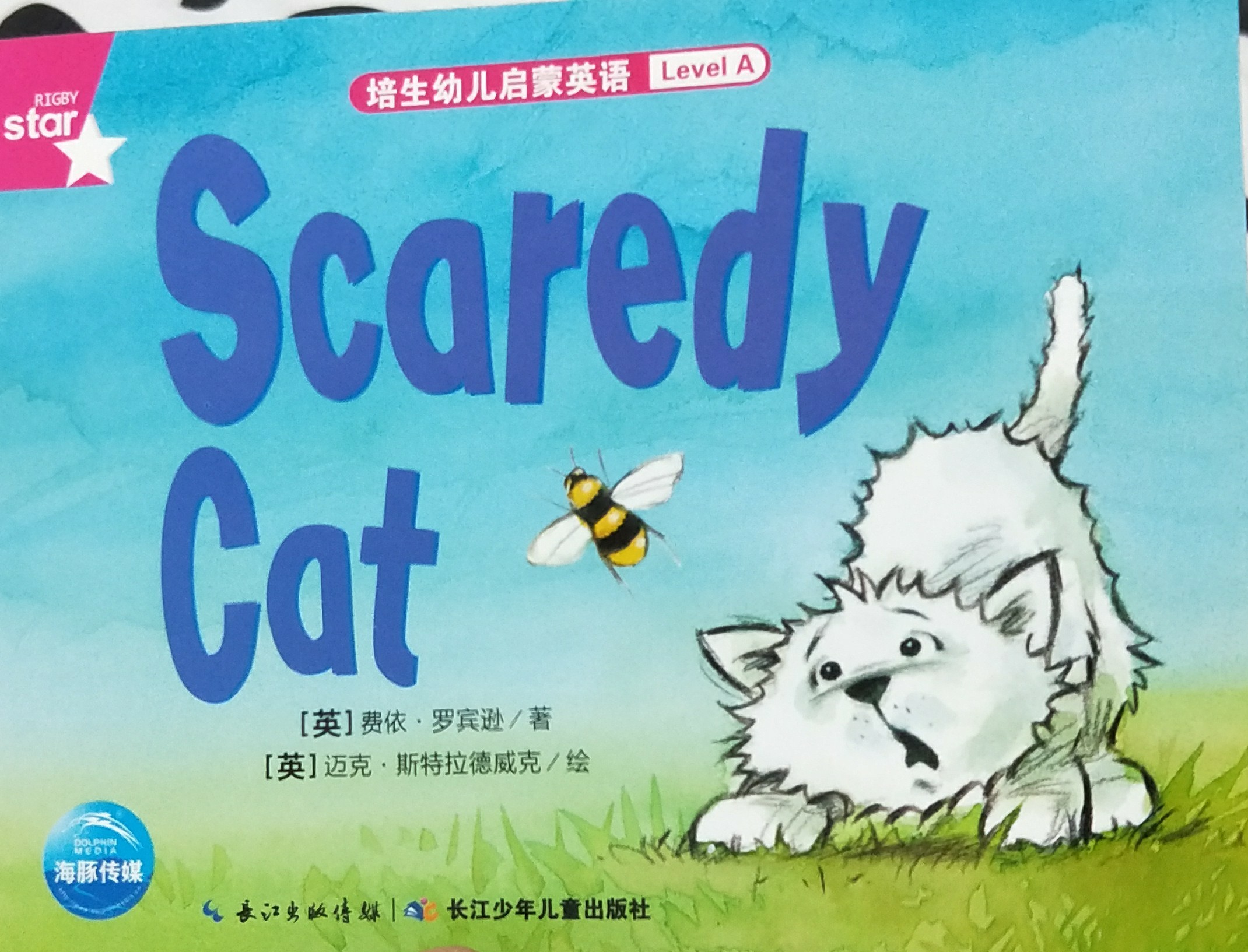 Scaredy cat