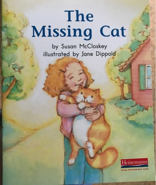 the missing cat