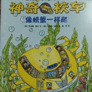 神奇校車橋梁版·像螃蟹一樣爬
