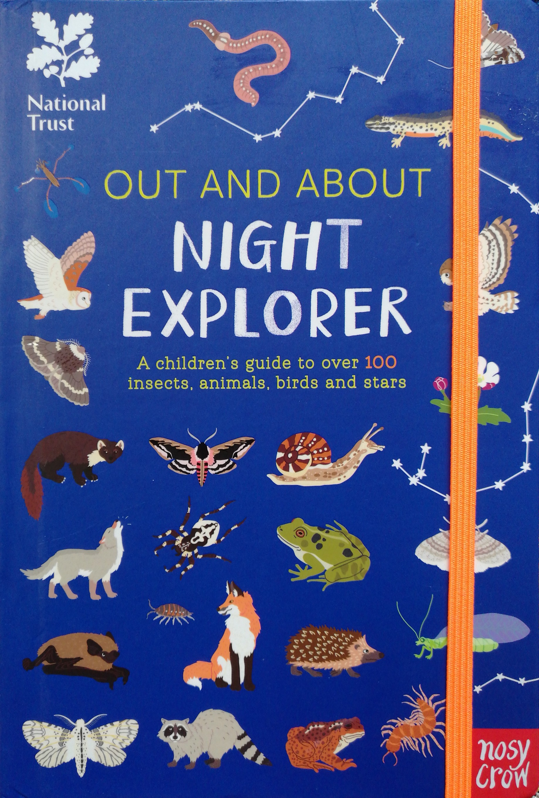 OUT AND ABOUT NIGHT EXPLORER