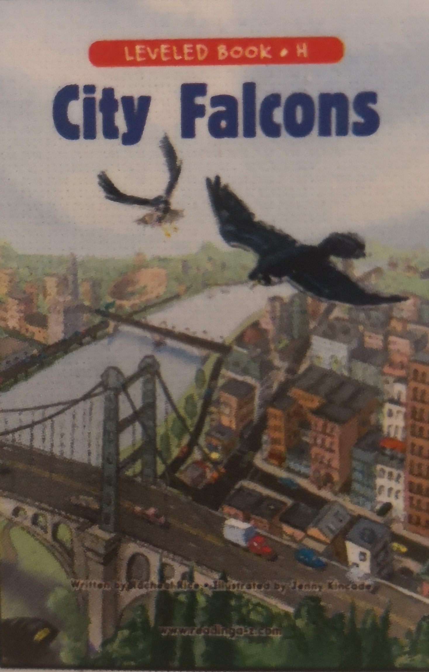 City Falcon