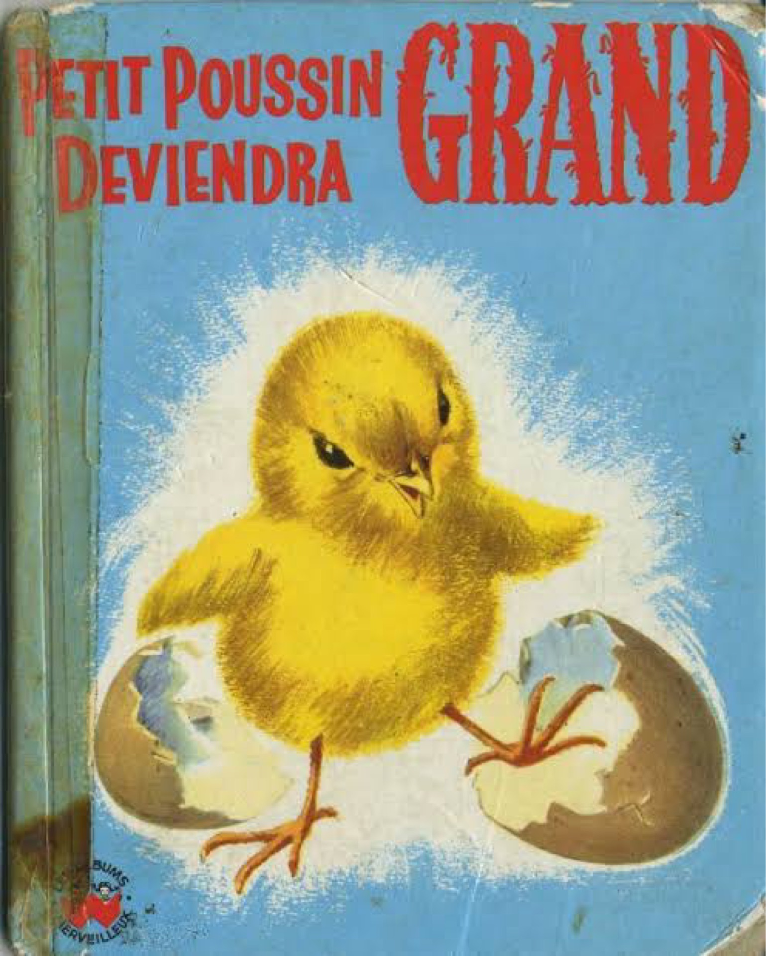 Petit poussin deviendra grand