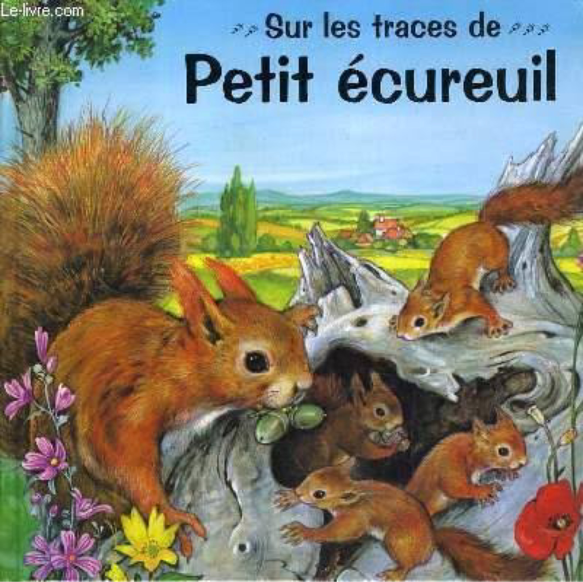 SUR LES TRACES DE PETIT ECUREUIL