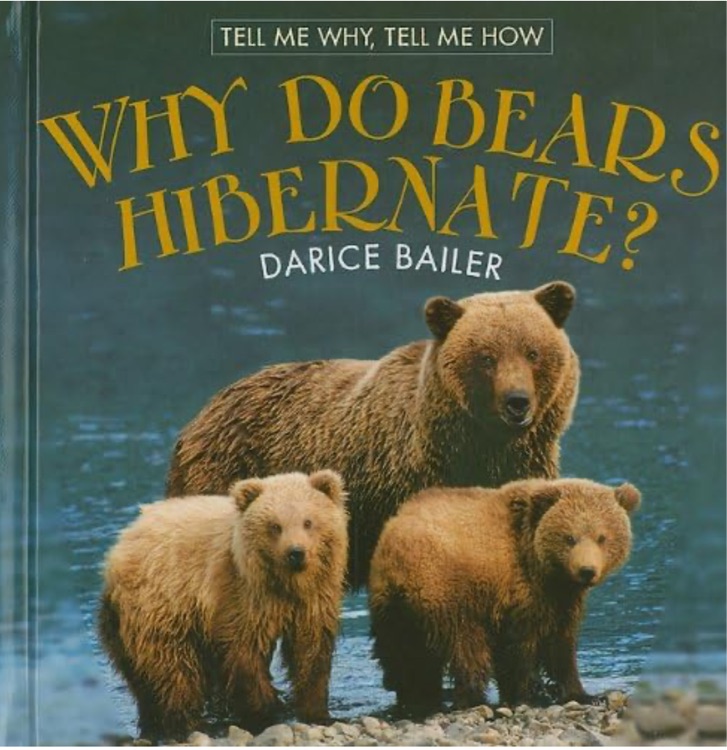 Why Do Bears Hibernate?