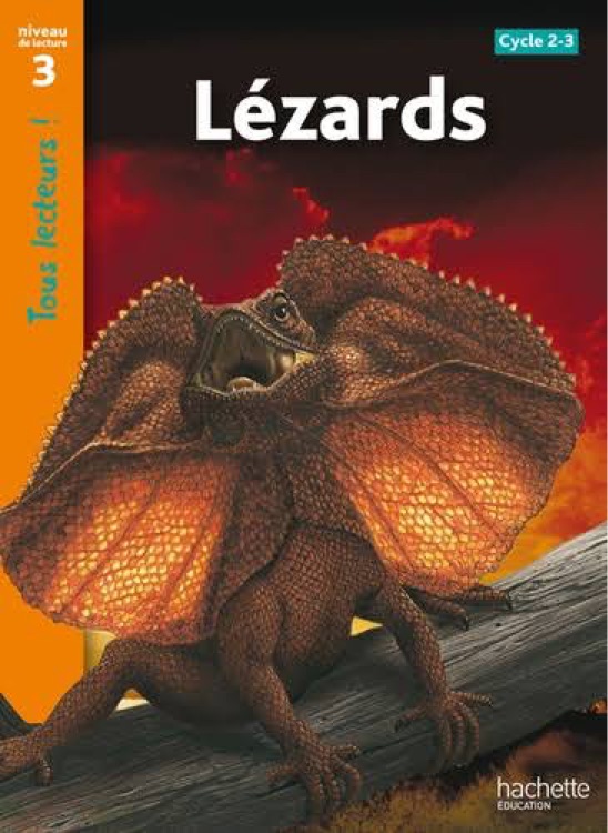 Lézards