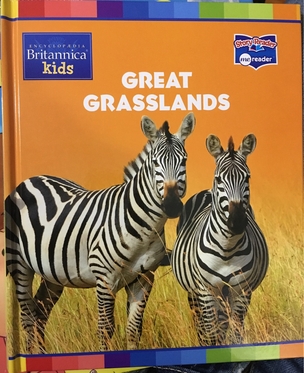 Great grasslands