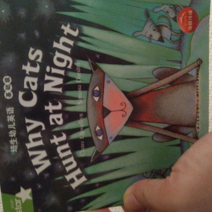 why cats hunt at night