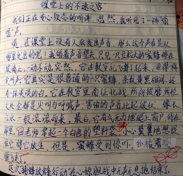 小周同學(xué)的佳作