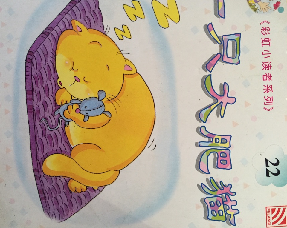 一只大肥貓