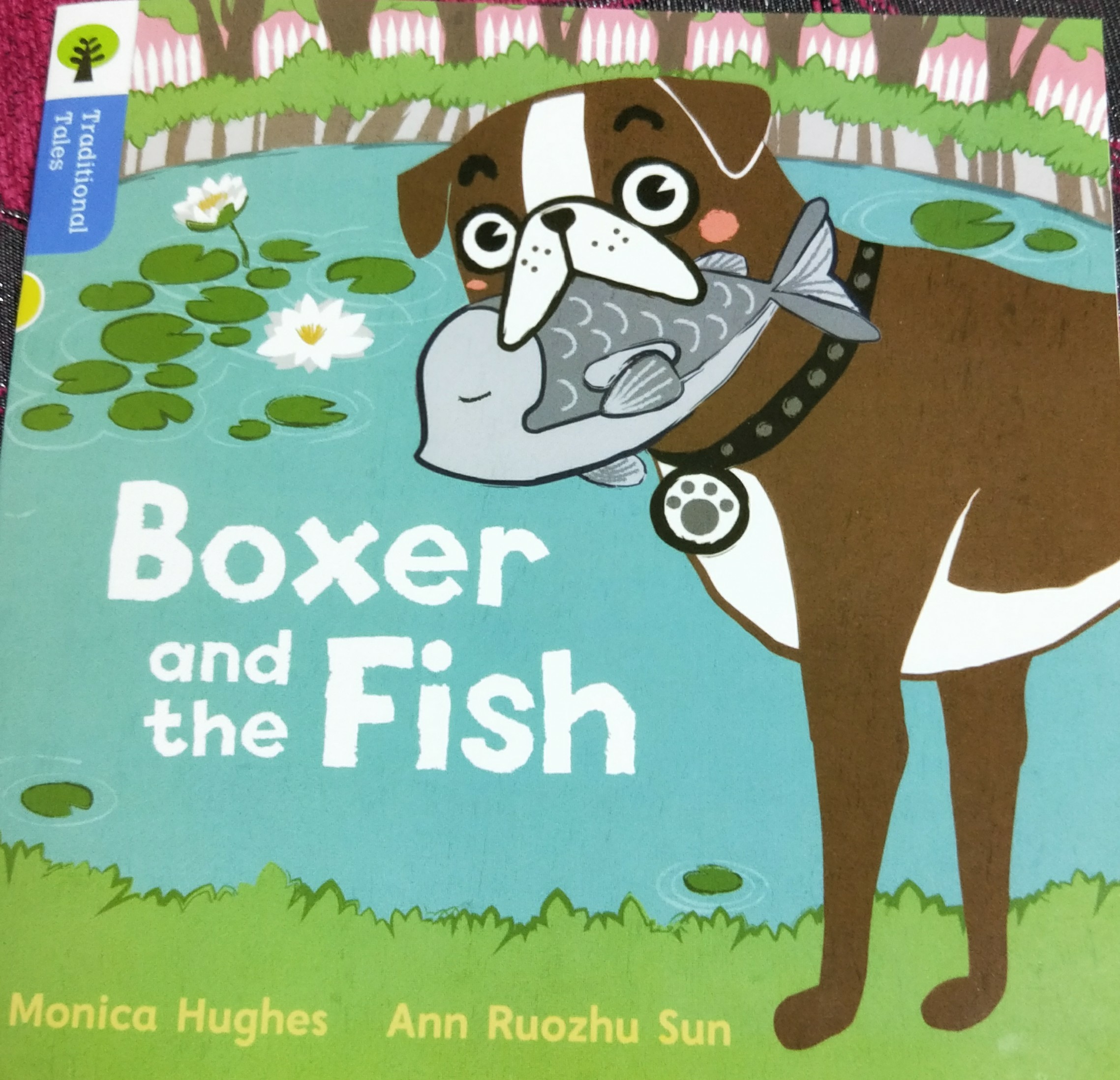 boxer and the fish