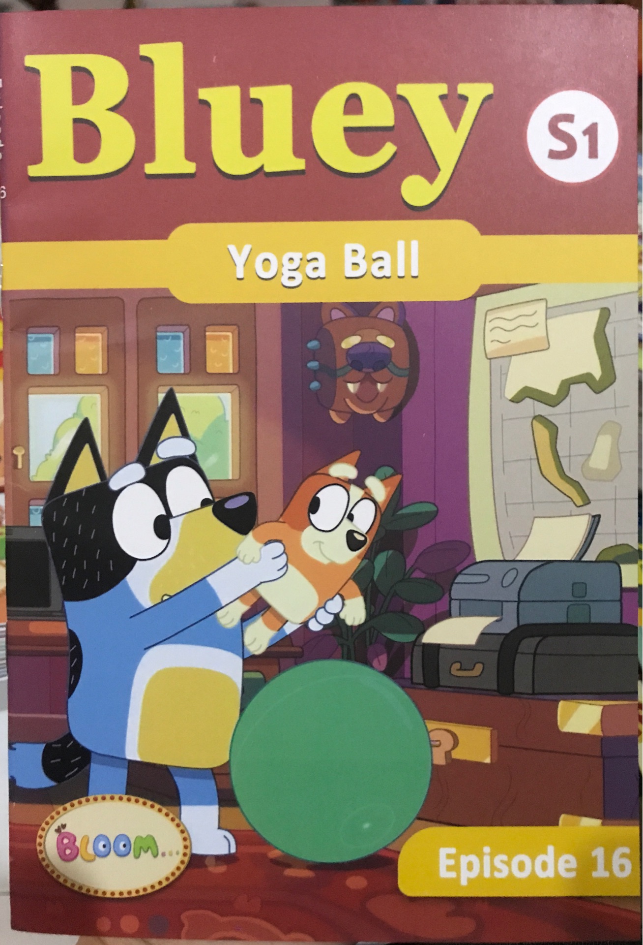 Bluey S1-episode 16 : yoga ball