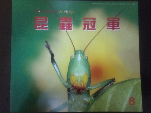 昆蟲冠軍