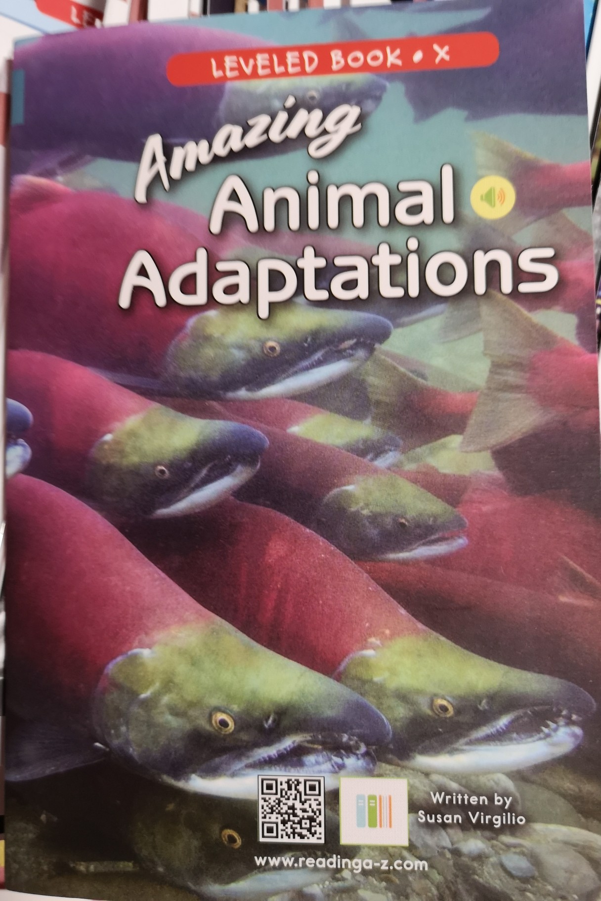 Amazing Animal Adaptation