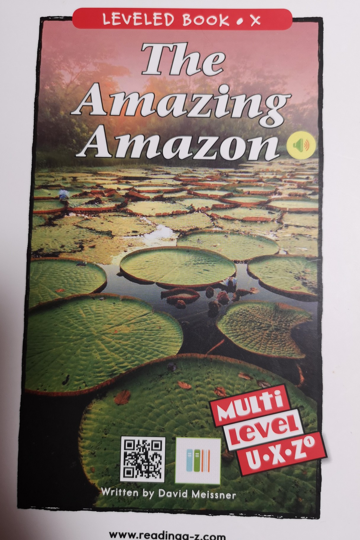 The Amazing Amazon
