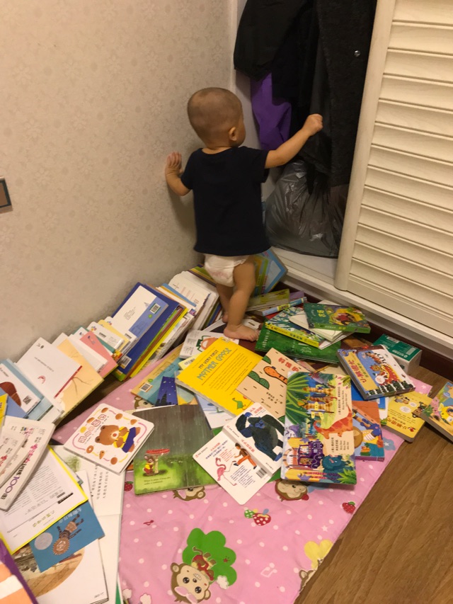 21个月娃的书柜