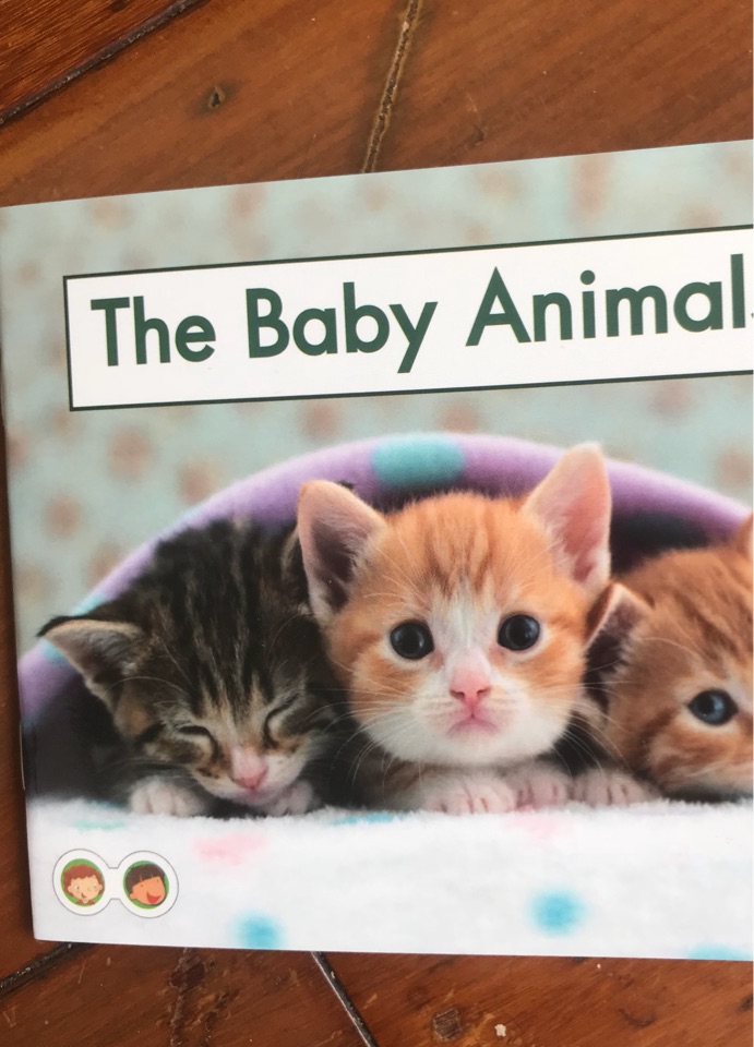 the baby animal
