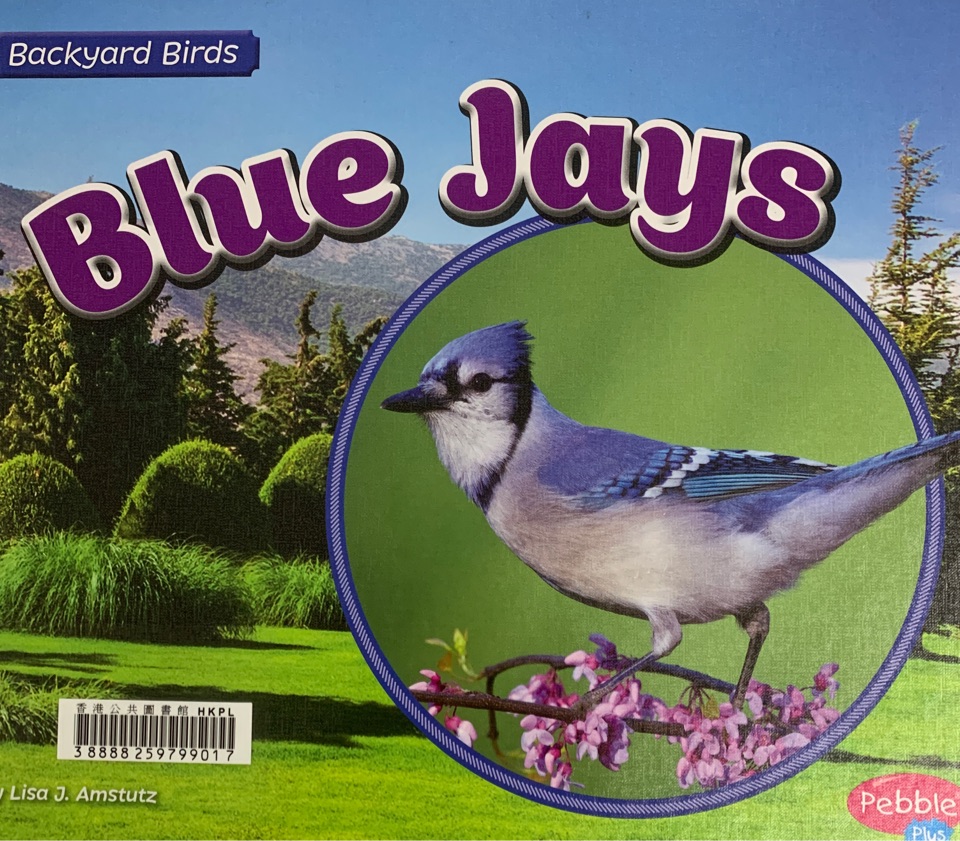 Blue Jays