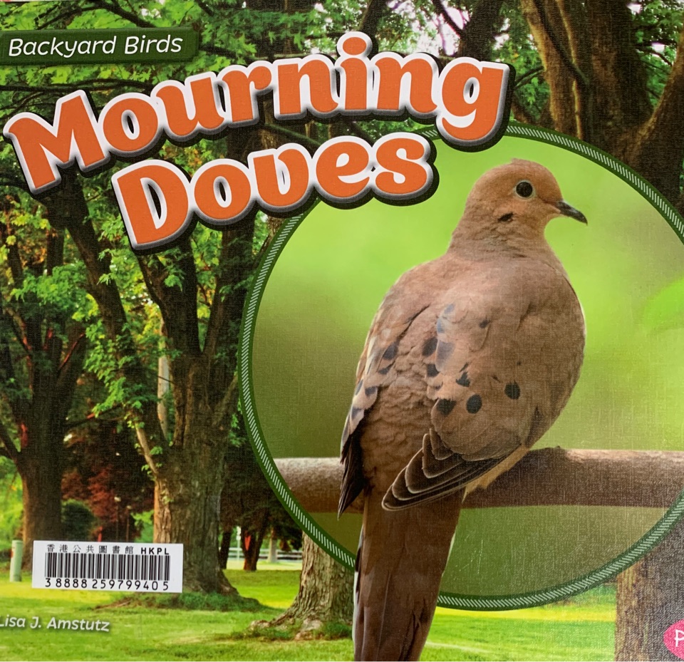 Mourning Doves