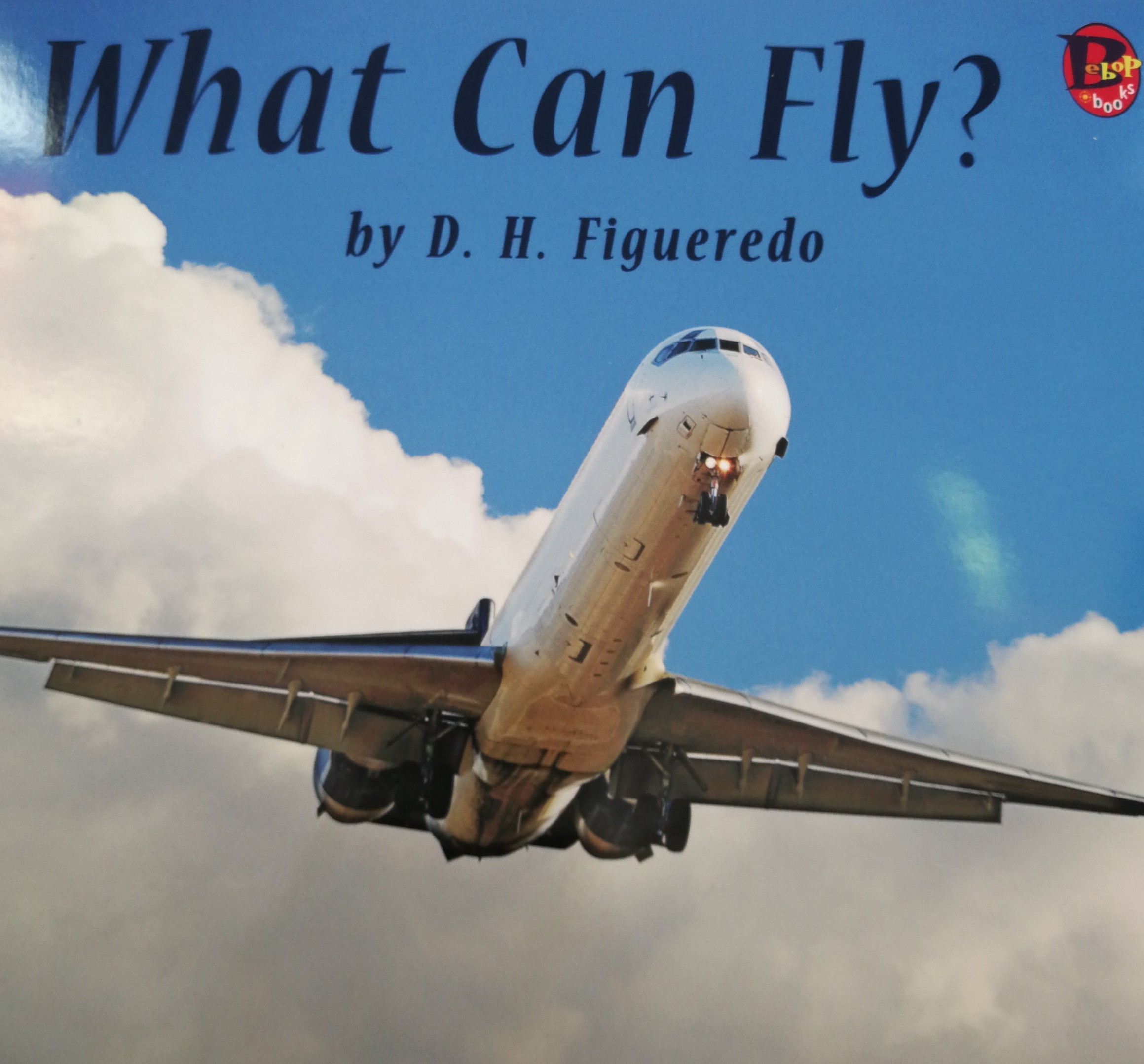 what can fly