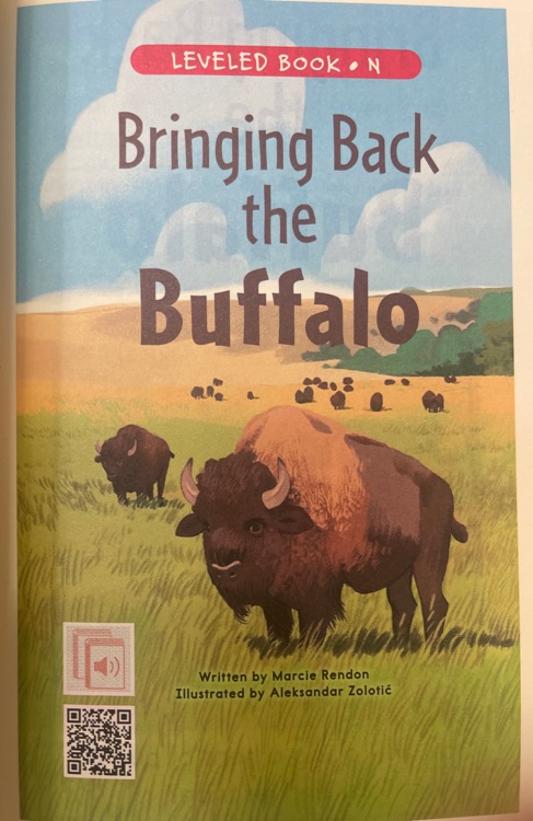 bringing back the buffalo