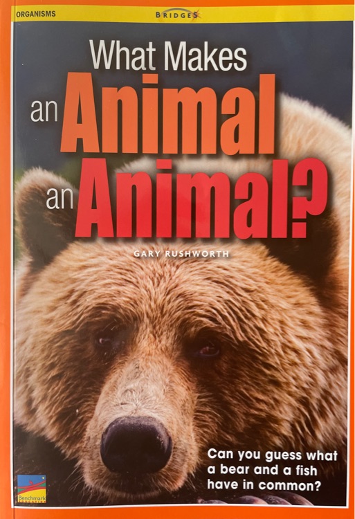 What makes an animal an animal?