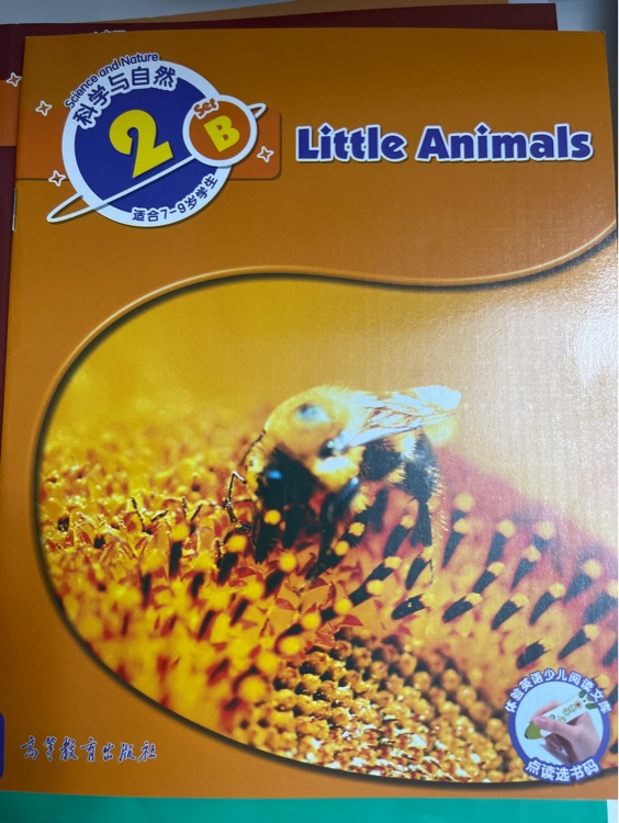 Little animals