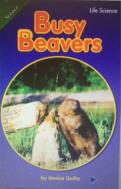 2.2.3 Busy Beavers