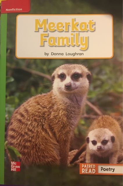 Meerkat Family