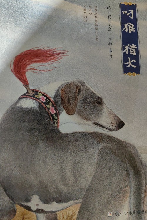 叼狼 獵犬