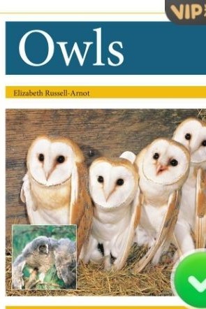 Owls