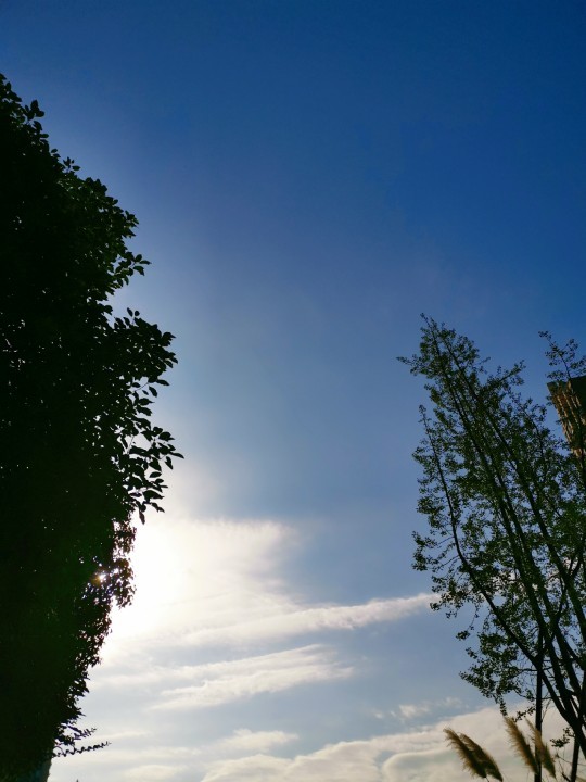 10.18