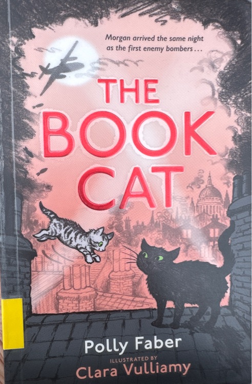 The Book Cat