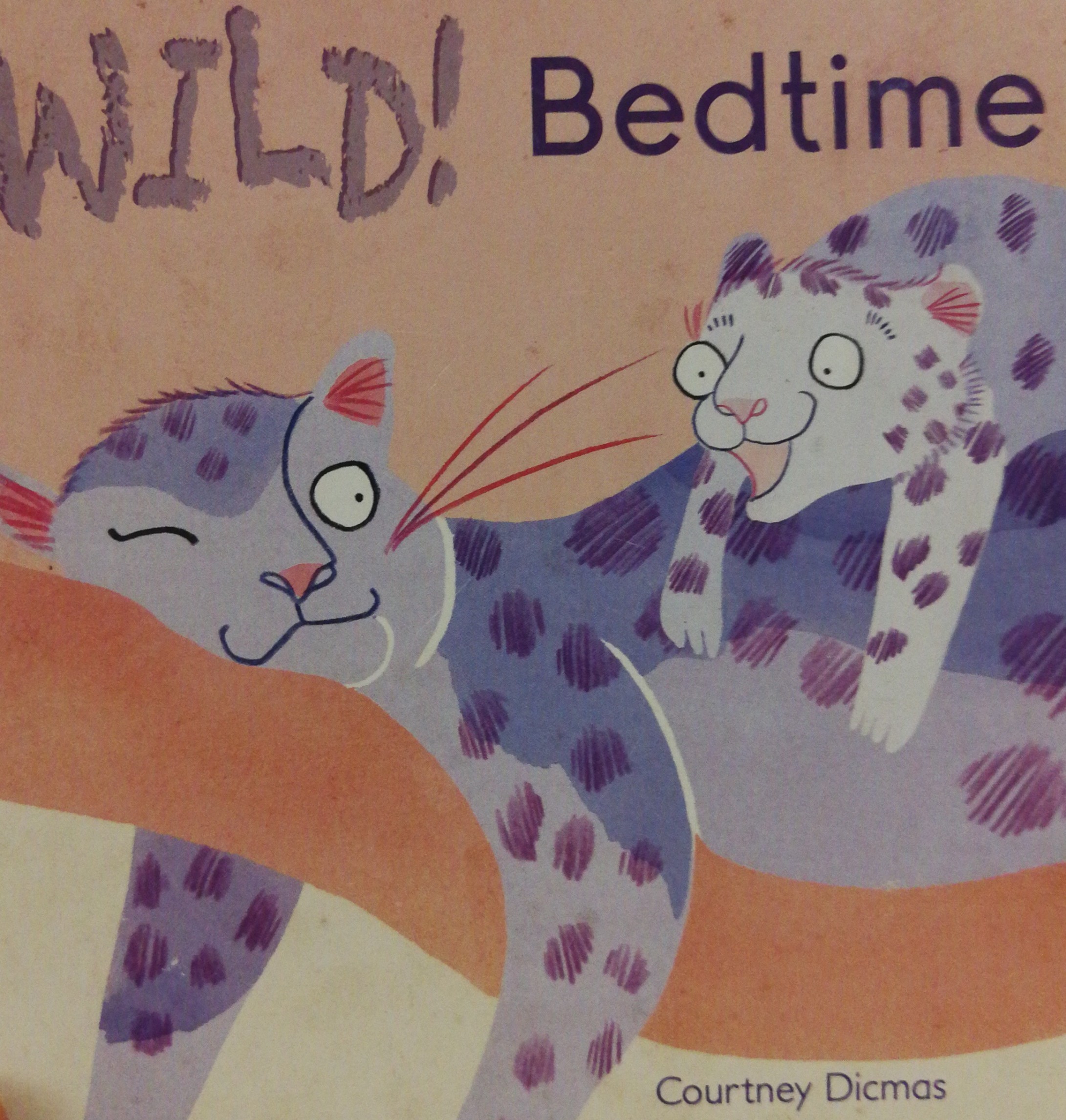 WILD Bedtime