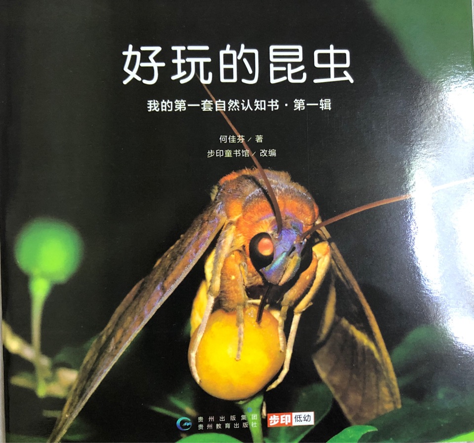 自然認(rèn)知書?好玩的昆蟲