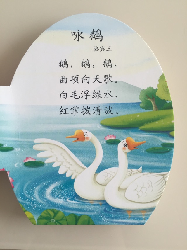 盤點(diǎn)蓓蓓20個月背